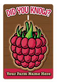 Berry Fact Sliders (Set of 3)