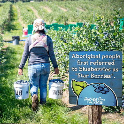 Pumpkin Fact Signs (set of 6)