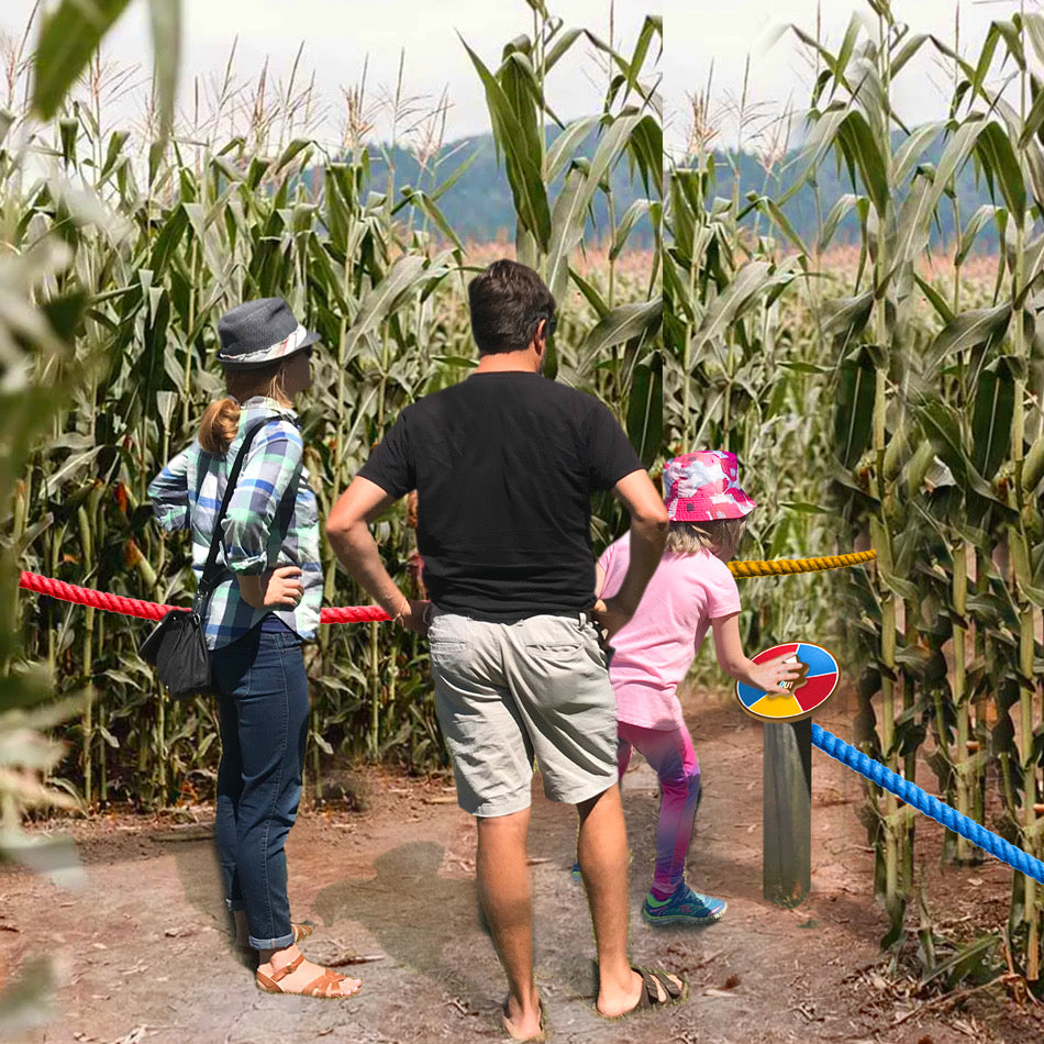 Sunflower SPIN OUT 🌀 Maze Challenge MacArt Studios