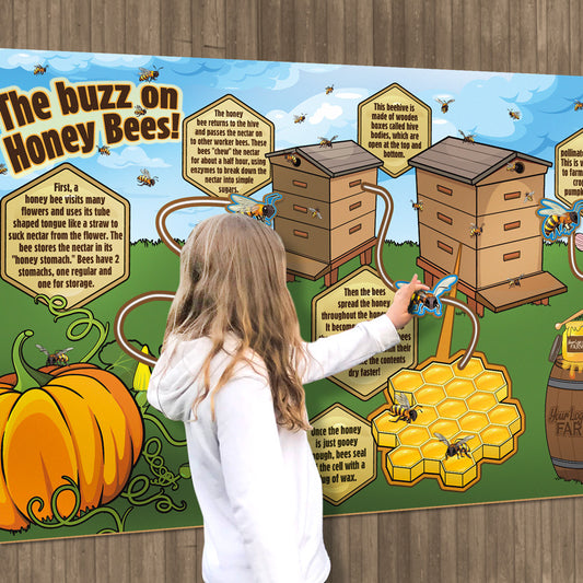 The Buzz on Bees and Honey