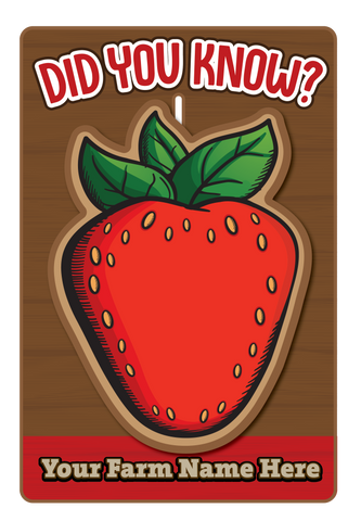Berry Fact Sliders (Set of 3)
