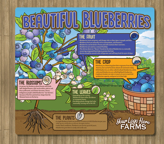 Blueberries Educational Panel