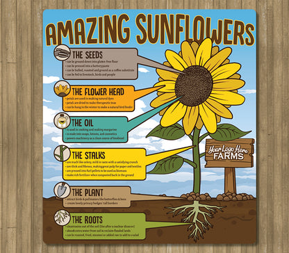 Amazing Sunflowers - educational panel