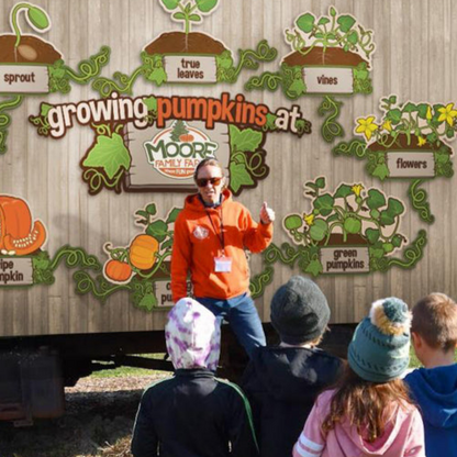 Educational Mural: Pumpkin Life Cycle