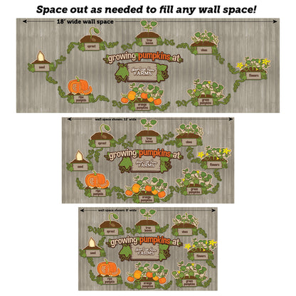 Educational Mural: Pumpkin Life Cycle