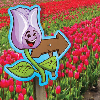 Directional Tulip Signs- set of 8 small