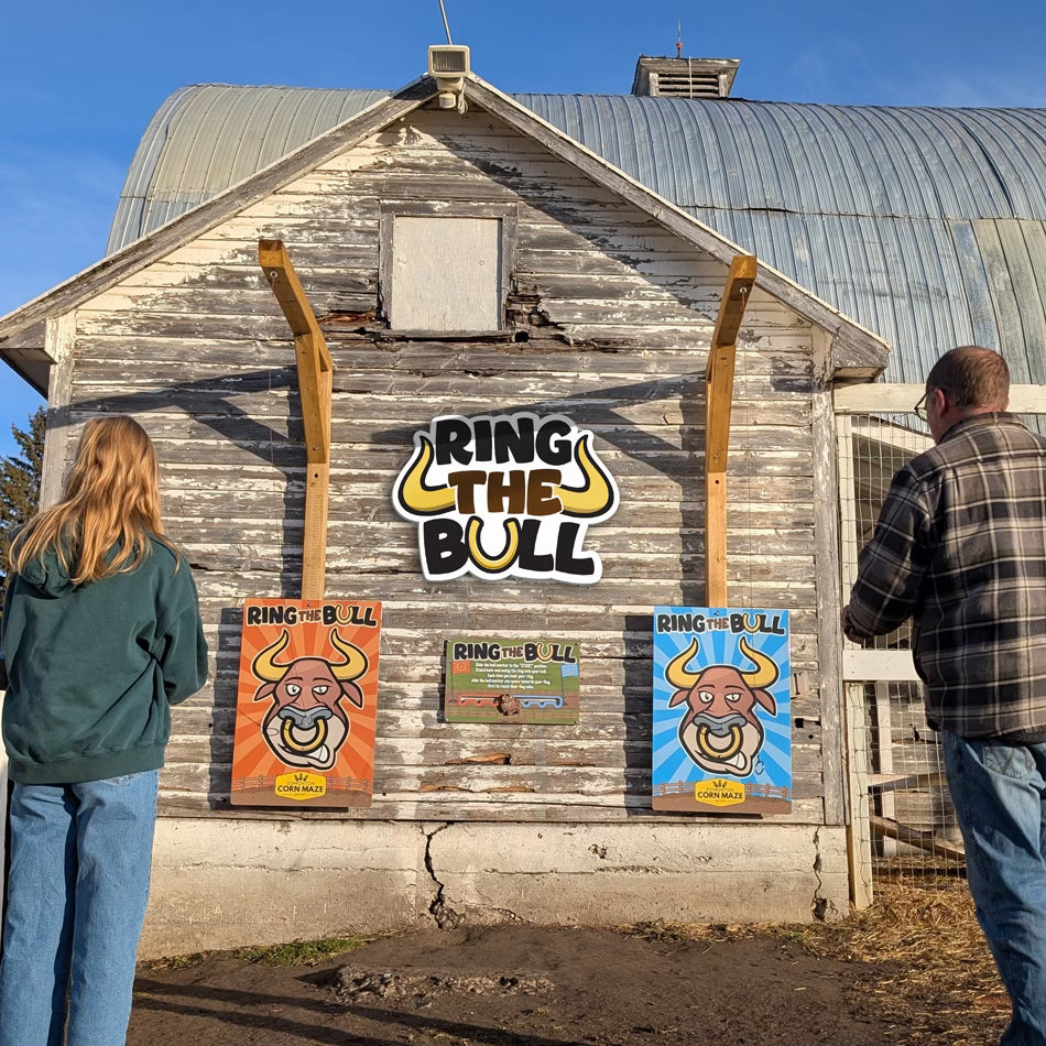 'Ring the Bull' DIY game set – MacArt Studios