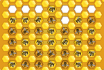 Bees In-a-Row