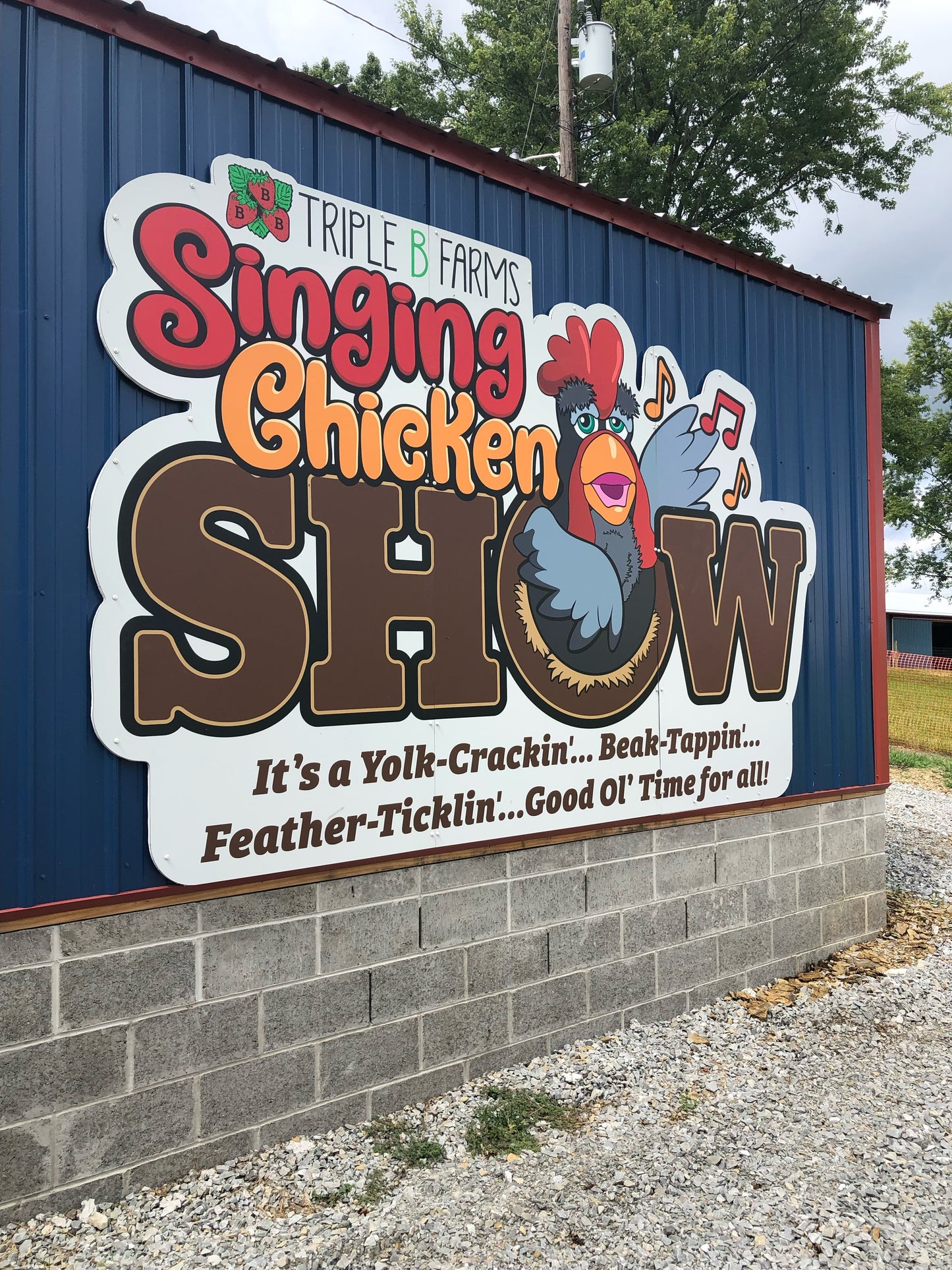 Singing Chicken Show (Signs only)