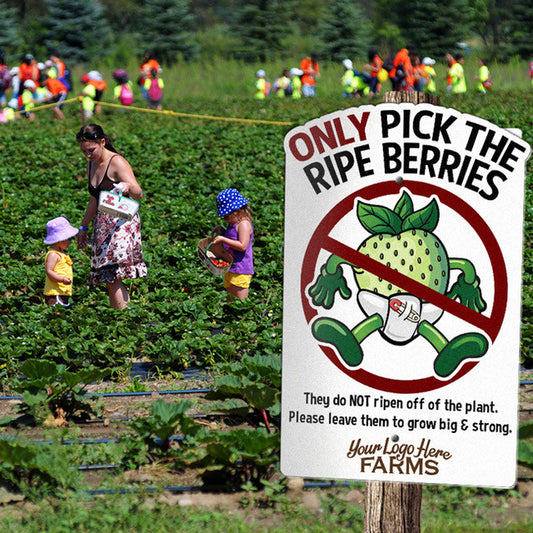 Berry 'Pick-Your-Own' Rules (6 pack)