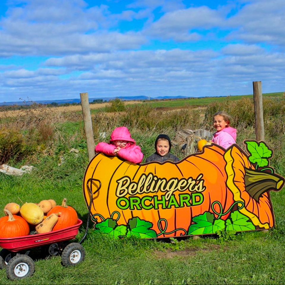 Giant Pumpkin 'Stand-Behind' Photo Opp