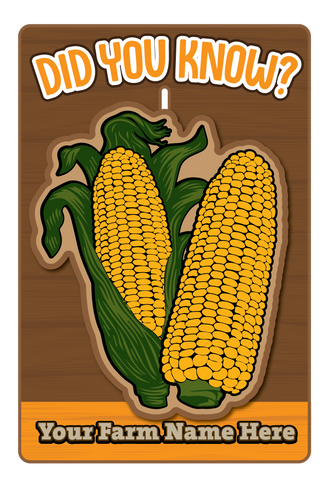 Corn Fact Sliders (Set of 3)
