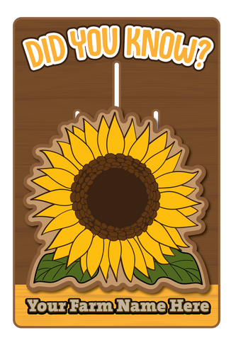 Sunflower Fact Sliders (Set of 3)