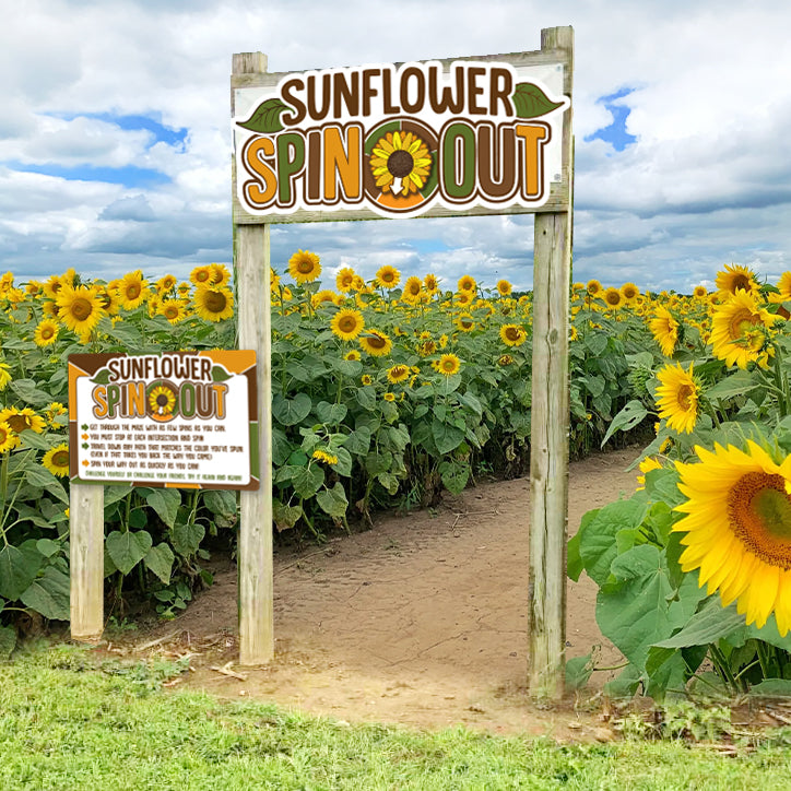 Sunflower SPIN OUT 🌀 Maze Challenge MacArt Studios