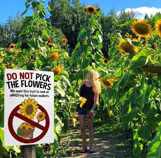 Sunflower Maze Rule Signs (8 pack)