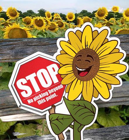 Directional Character Signs- set of 3 Large Sunflowers